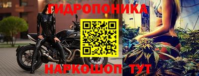 стафф Кимры